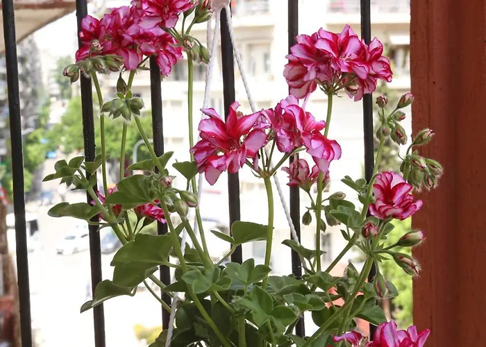 公寓 Cozyhome 4 Ilisia *