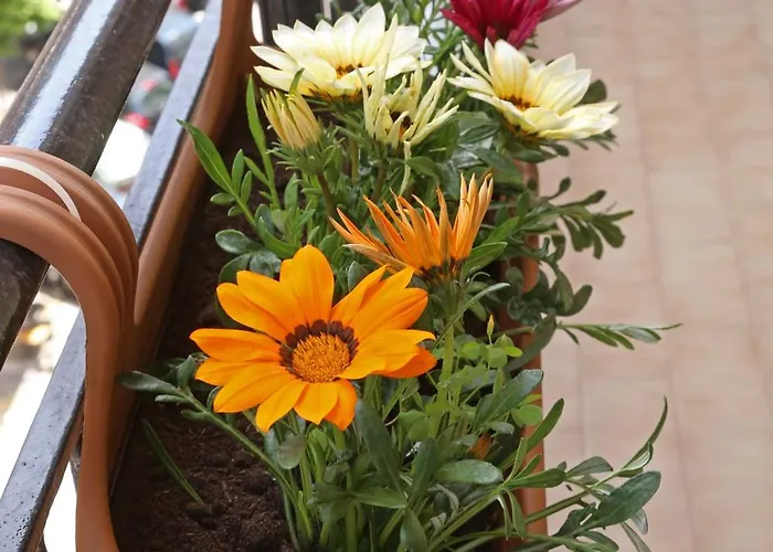 Апартаменты Cozyhome 4 Ilisia *