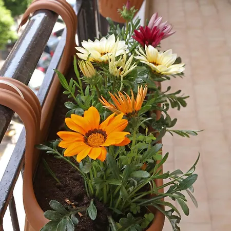 Apartmán Cozyhome 4 Ilisia *